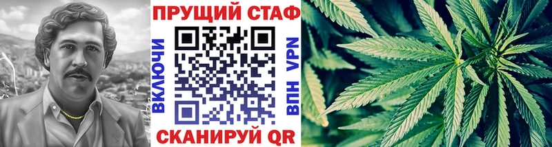 Купить закладку Амфетамин  Метадон  Псилоцибиновые грибы  Канабис  Меф  A PVP  Всеволожск