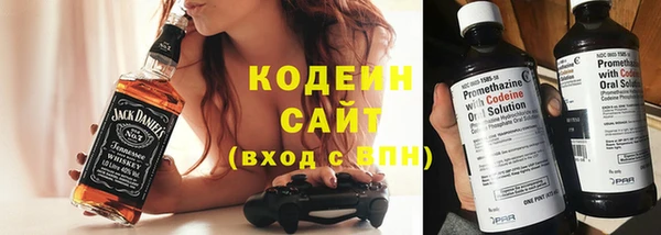 эйфоретик Няндома
