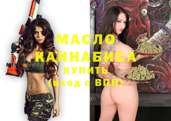 эйфоретик Няндома
