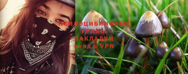 эйфоретик Няндома