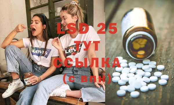 эйфоретик Няндома