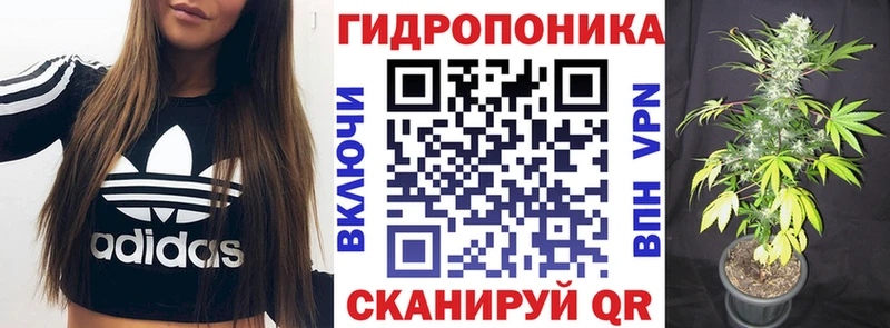 Купить закладки  Всеволожск  Каннабис AK-47 